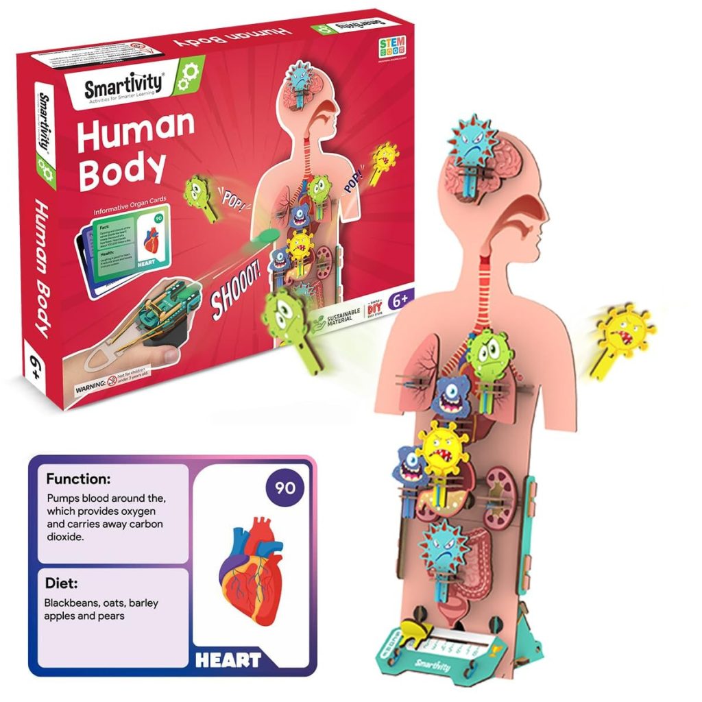 Human body toys